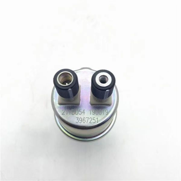 OE NO. 3967251 Cummins Engine Oil Plug for Truck Dongfeng 6BT 4BT 6CT Diesel Parts