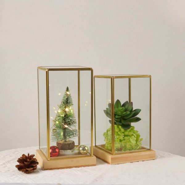 Glass artifact succulent cover copper golden gife package box jewelry accessories window display box Yiwu wholesale