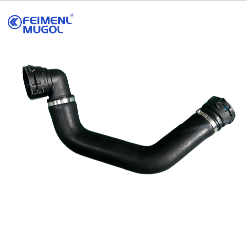 tuyau de radiateur inférieur durable conçu pour la conformité Euro V avec OEM 1303012XP6PXA-PT