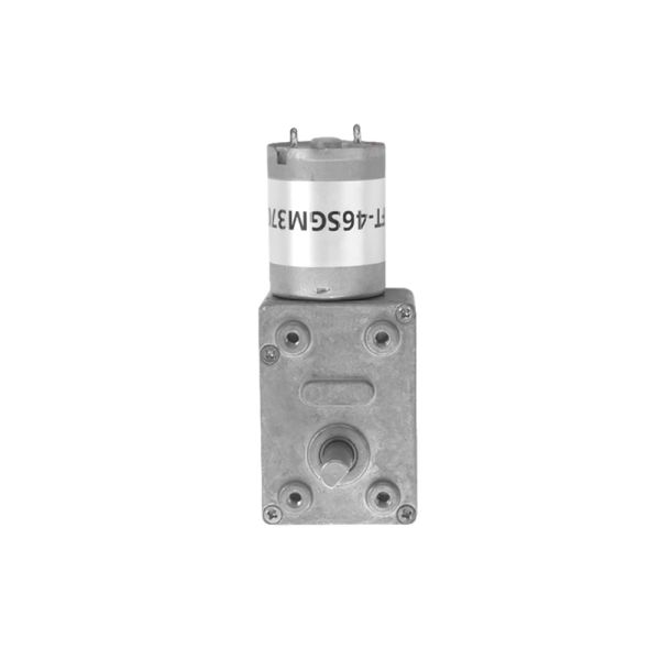 Customization FT-46SGM370 Slow Speed Big Torque Worm Gear Motor  6v 12v 24v Brush DC Motor