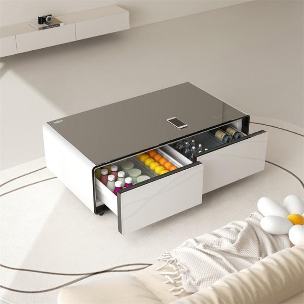 Multifunctional Refrigerator with Refrigerated Drawer Cabinet Coffee Table Fridge