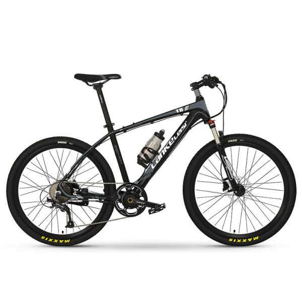 Aluminum Alloy Frame Portable E Bike 26 350W With Removable 36V 6.8AH L G Lithium Battery
