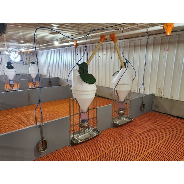 Construcción de un cobertizo de pollo