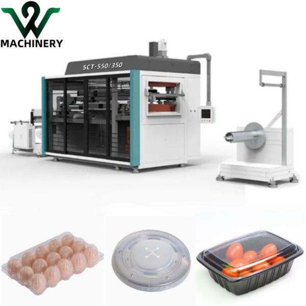 Máquina de fabricación de cajas de almuerzo totalmente automática con soporte técnico de por vida Máquina de termoformado de plástico avanzado