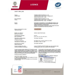 Yueqing Vorax Electric CO.,LTD Сертификации