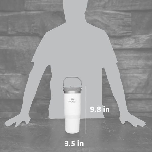 IceFlow Stainless Steel Tumbler with Straw, Vacuum Insulated Water Bottle for Home, Office or Car, Reusable Cup