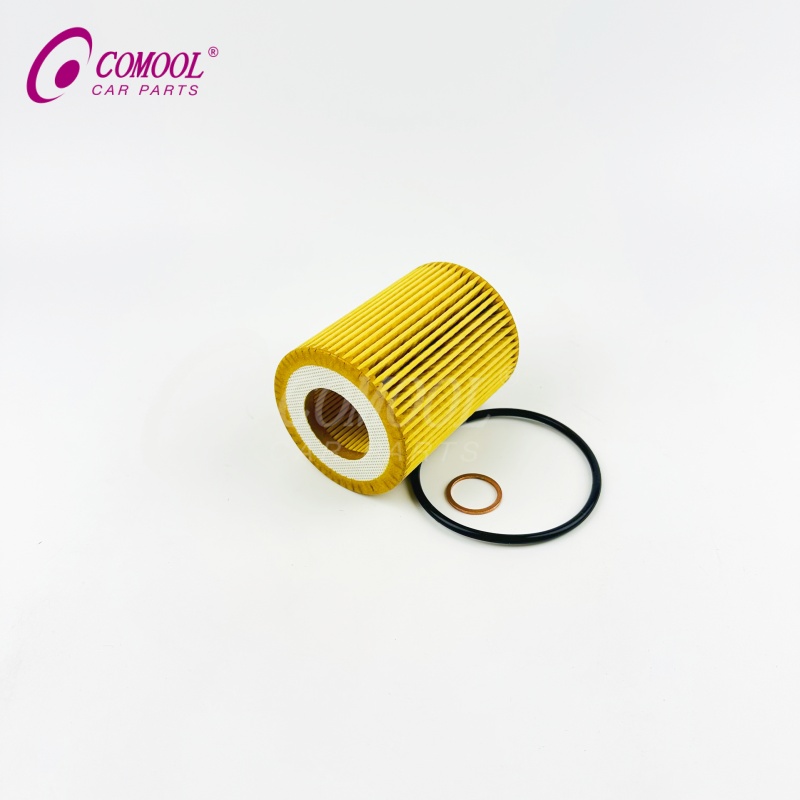 Customized Lube Oil Filter Element 11427635557 For BMW 1 Series F20 F21 F30 F31 F35