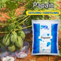 Enzima en polvo de papaya original blanca 50TU/MG-1000TU/MG Origen del cultivo de papaya