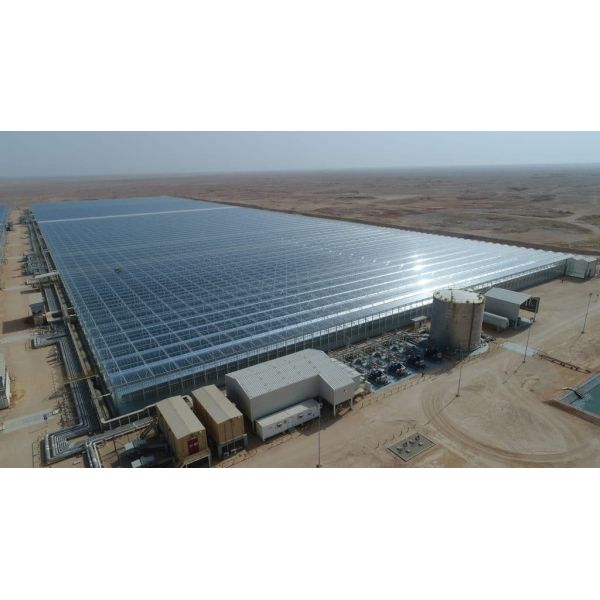 Hot-dip Galvanized Steel Frame Multi-span Hydroponic Greenhouse with Smart Irrigation System