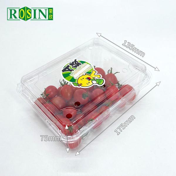 Disposable Clear PET Clamshell Hinged Lid Container Packing Supermarket Plastic Blister Fruit Salad Box With Holes