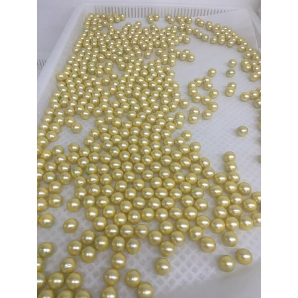 Diagnosis remota máquina del relleno/de la encapsulación de Paintball con el secador amorfo