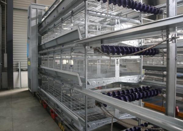120 Birds Chicken Egg Laying Equipment For Modern Farm Construction
