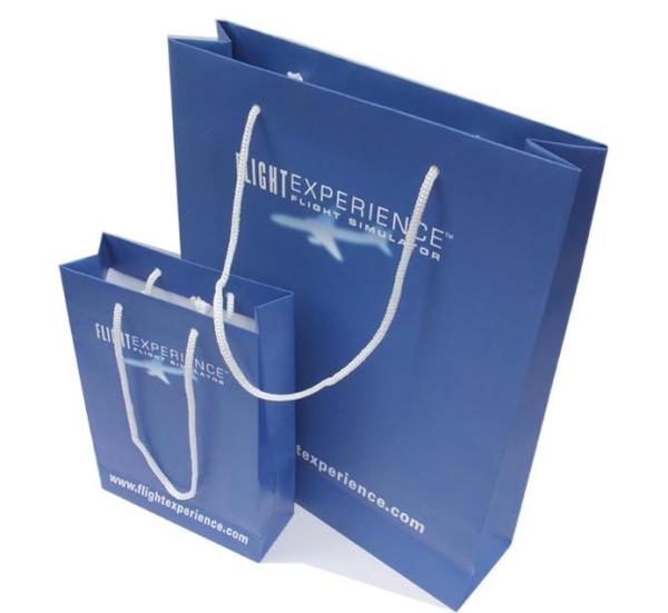 Service d'impression écologique réutilisé fait sur commande de sac de transporteur de papier bleu avec la corde en nylon