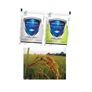 37% Difenoconazole 25% Azoxystrobin Pesticide For Rice Vegetables Fruit