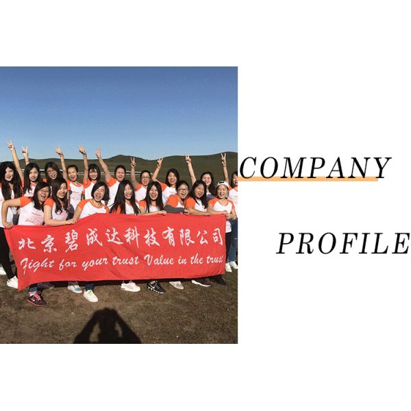 Подвальные принадлежности Everjade Регулируемые поднятые напольные покрытия плитки Подпорные постаменты