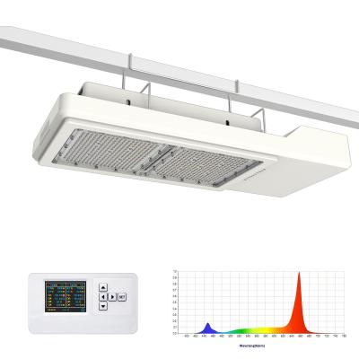Plant Horticultural LED Grow Light Solution 800W Max PPF 2200 Umol/S