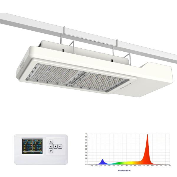Plant Horticultural LED Grow Light Solution 800W Max PPF 2200 Umol/S