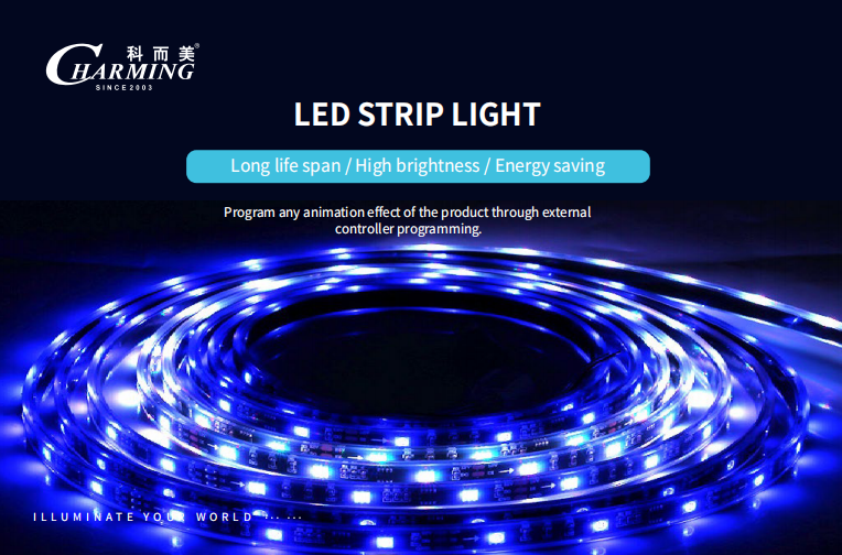 Украшение света прокладки СИД цвета SPI 12V RGB на открытом воздухе и крытое