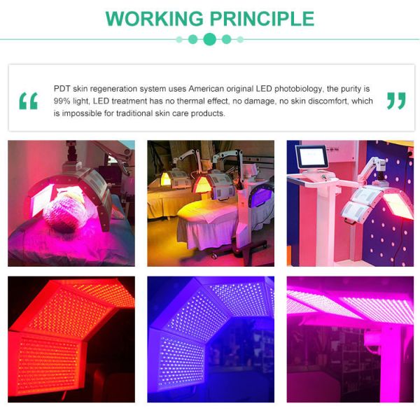 Multiple LED Phototherapy Machine 415nm 535nm Facial PDT