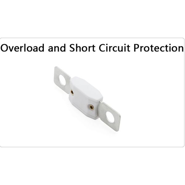 High Amp 100A 120A 200A 250A 300A 350A 400A 450A 500A 80V Ceramic AMG ANM MEGA Fuse