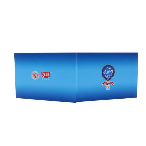 Cartão video do encarregado do envio da correspondência musical para o ODM de cumprimento da memória 512MB