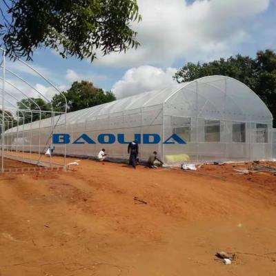 estufa agrícola do filme de polietileno da estufa de 6m para o cultivo da flor