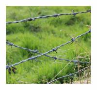 Wholesale Low Cost Electro Galvanised Steel Barbed Wire For Household