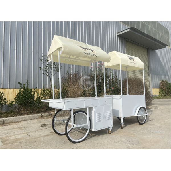 Small Portable Electric cart Cold Plate Push Umbrella Outdoor Mini Wheel Supermarket  Cart