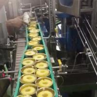 Línea de producción de enlatado de piña Alta eficiencia Velocidad rápida
