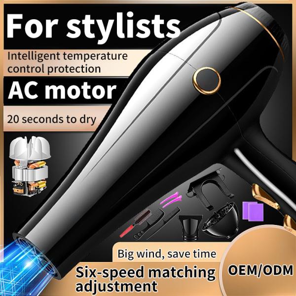 Fast Dry Ionic Hair Blow Dryer 2400W High Power Salon Professional Hair Dryer