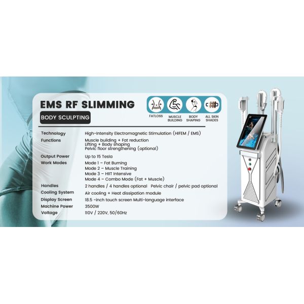 RF EMS Body Slimming Machine 4 Handles Multi Area Treatment High Throughput