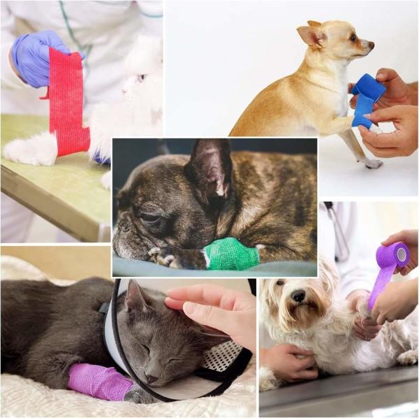 Kinesiology Elastic Athletic Crepe Sport Tape Disinfection Skin Color Pet Bandage Cohensive Self Adhesive Bandage