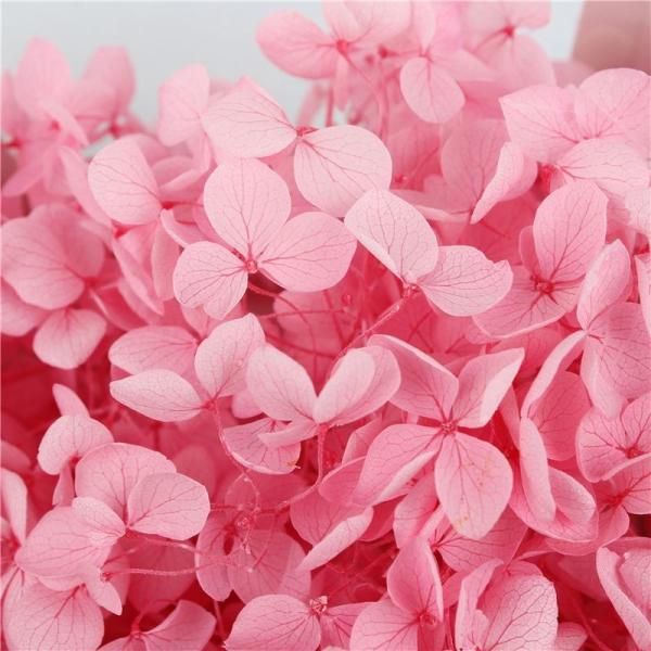 Decoration Preserved Pampas Grass , Creative Touch Flowers Gift