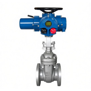 Multi-Turn Electric Gate Valve, Stainless Steel/ECB, 2" 15", DC 24V, AC 110/220