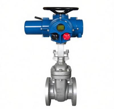 Multi-Turn Electric Gate Valve, Stainless Steel/ECB, 2