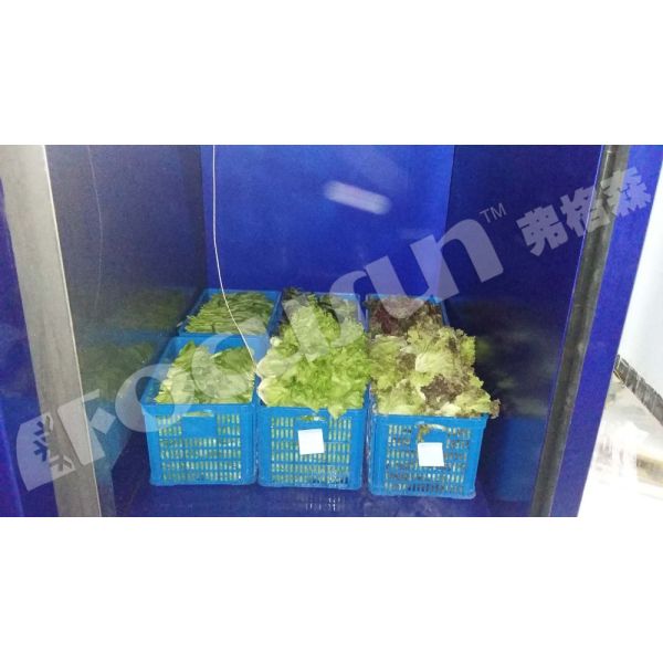 Воздушно-охлаждаемый конденсаторный вакуумный охладитель для предварительного охлаждения овощей фруктов Готовые продукты питания