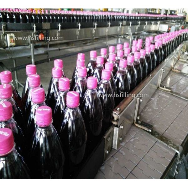 4000BPH Automatic Bottle Ginger Ale Carbonated Drink Filling Machine Stainless Steel 304 316