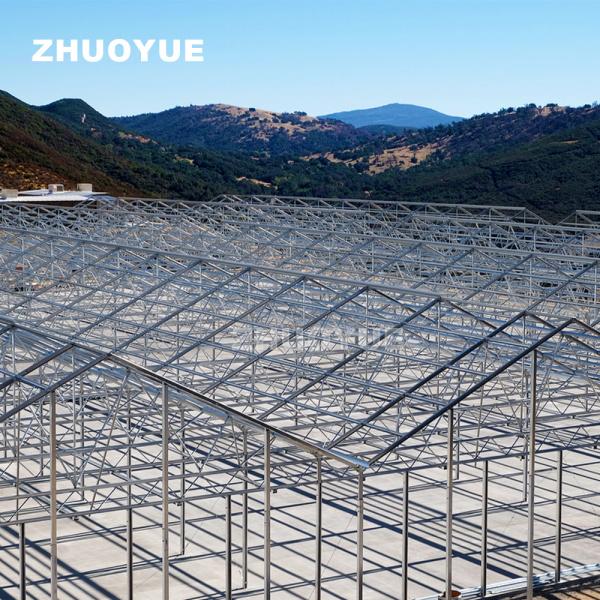 Hot Galvanized Steel Pipes Multi Span Greenhouse Light Dep For Growing Marijuana
