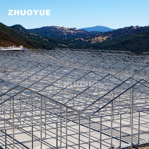 OEM Light Deprivation Greenhouse Controlled By Ventilation Humidity Control