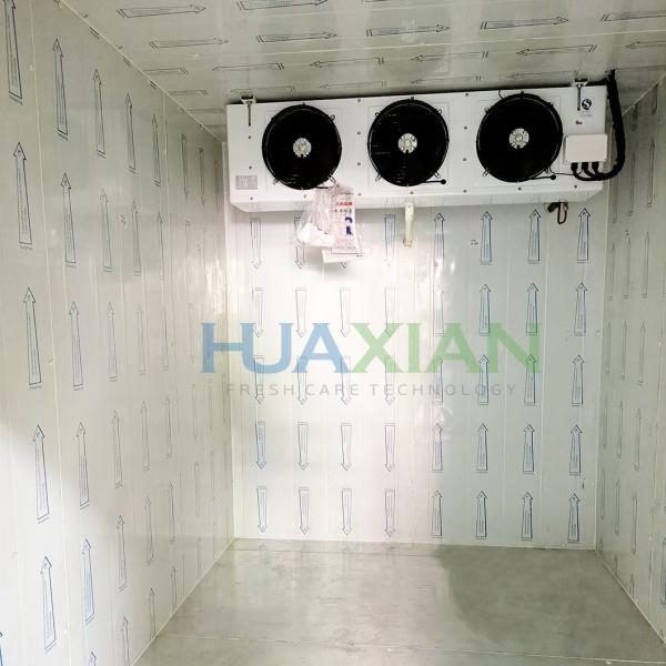Freezer/Chiller/Cold Modular Storage Room with Refrigeration Condenser Unit for Meat/Vegetables/Fish/Fr