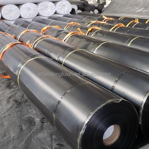 Geomembranas PVC LDPE HDPE Fish Pond Liner Dam Liner comprimento 50-200m espessura 0,3mm-2,8mm