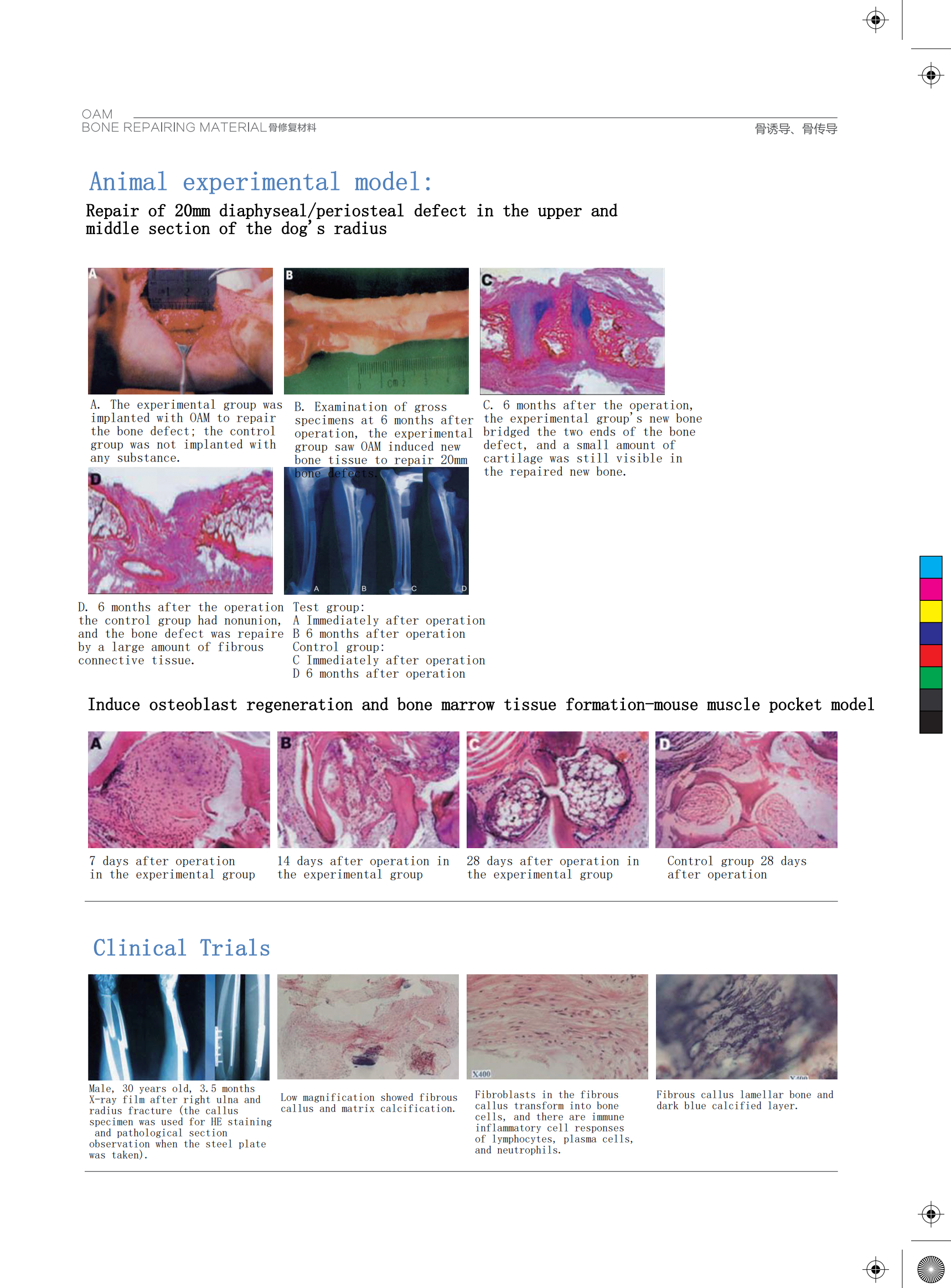 Bovine Bone Graft Substitute Sterile Packaging
