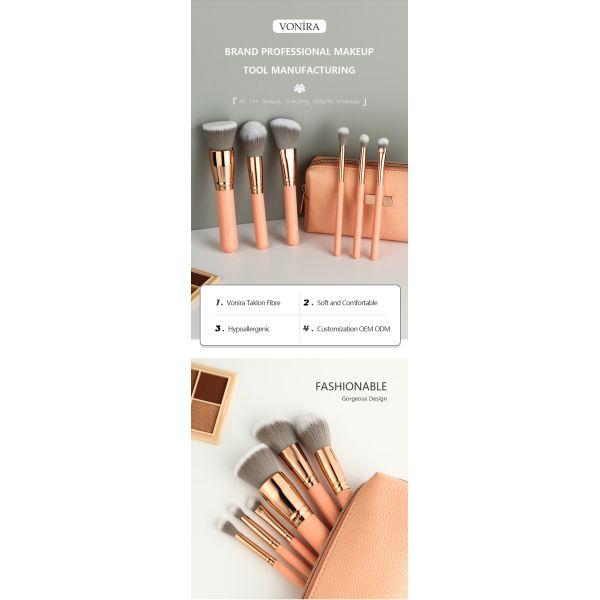 Цвет набора щетки макияжа перемещения моды Vonira мини румяный розовый со случаем молнии