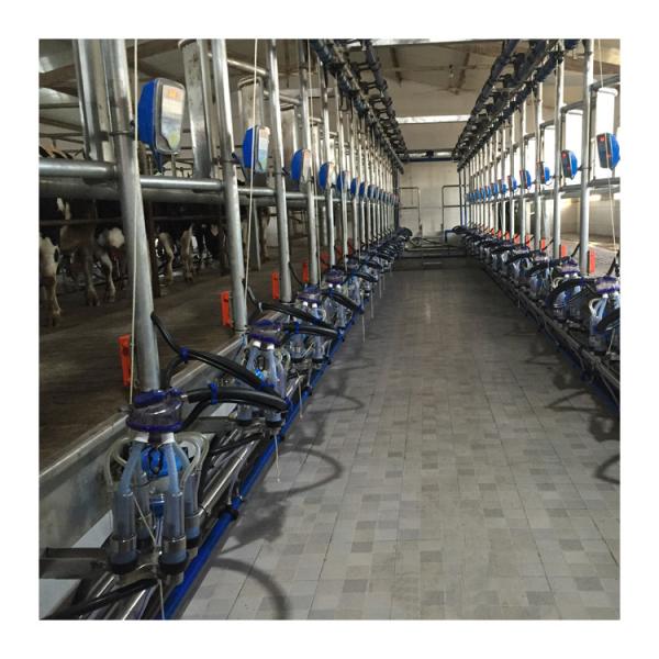 Working Vacuum 50KPa 2.2kw Herringbone Milking Machine For Dairy Farm