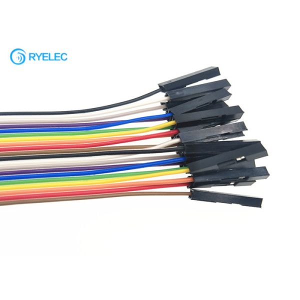 Мужчина к собранию ленточного кабеля женского прыгуна плоскому для прототипирования технологического комплекта