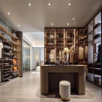 Un dressing haut de gamme, un placard ouvert, une promenade dans le placard, avec des grains de bois légers.