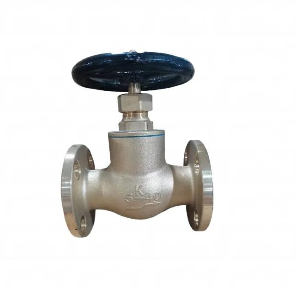 Marine brass bronze straight flange check valve 7301-5k/10K/16K