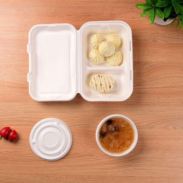 Eco-Friendly Disposable Packaging Boxes for Multi Color Biodegradable Fruits and Eggs