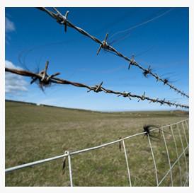 Neat And Bright Razor Barbed Wire Designs Good Anti Theft Performance