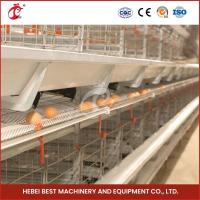 Équipement d'élevage de volailles à couche automatique 4e étage avec machine d'alimentation automatique Mia